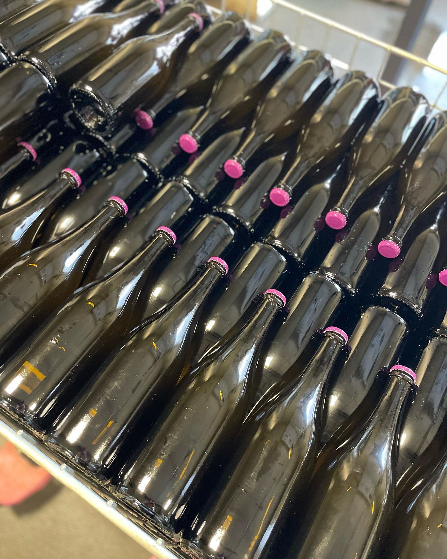 Feeling bubbly? We are 🫧🍾

We&rsquo;re bottling our first sparkling wine - ready sometime in the Summer of 2024!