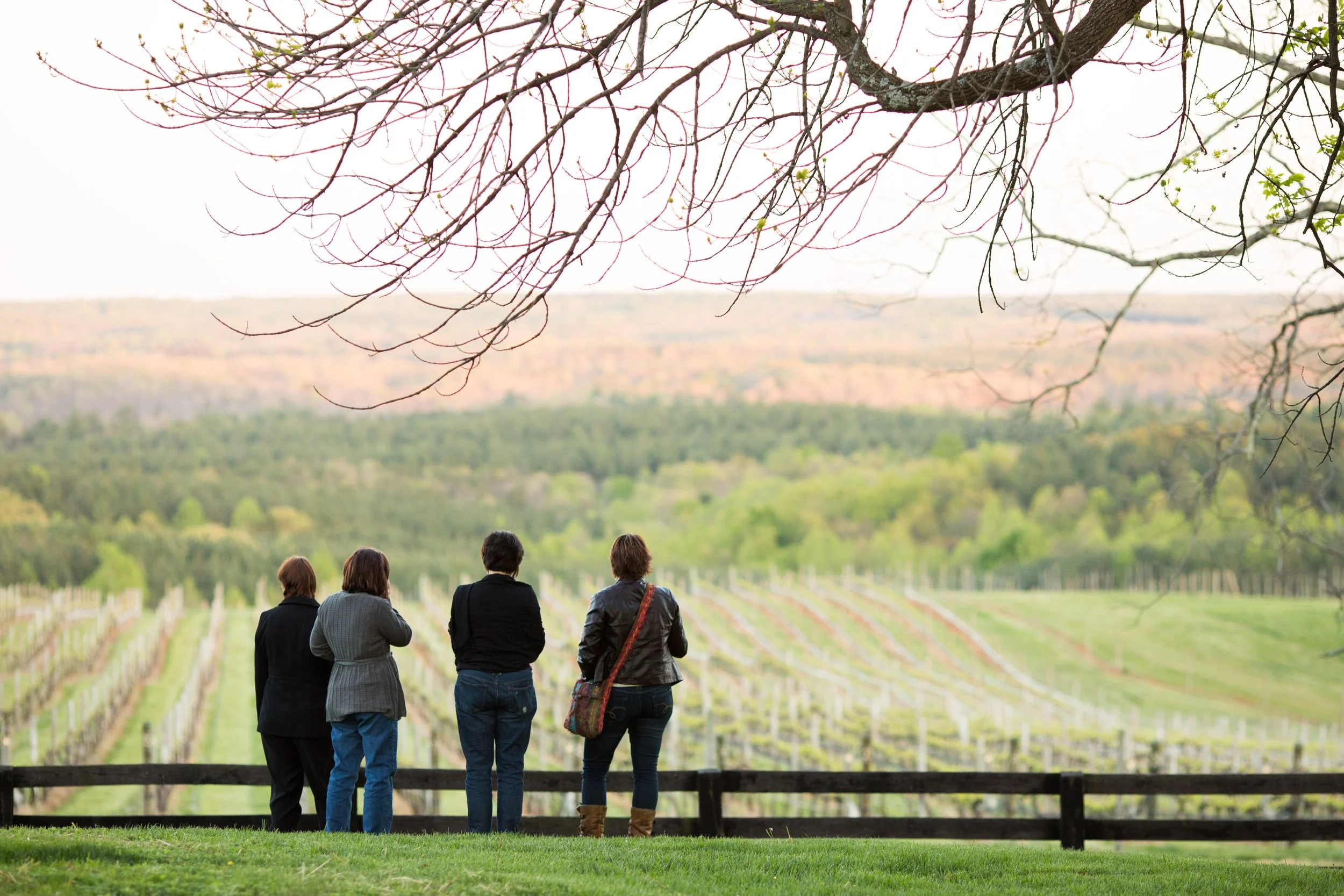 Visit — Blenheim Vineyards