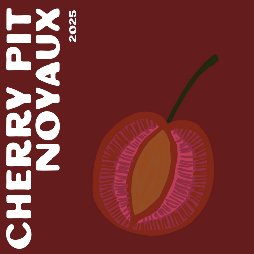 Cherry pit noyaux with an illustrated cherry cut in half