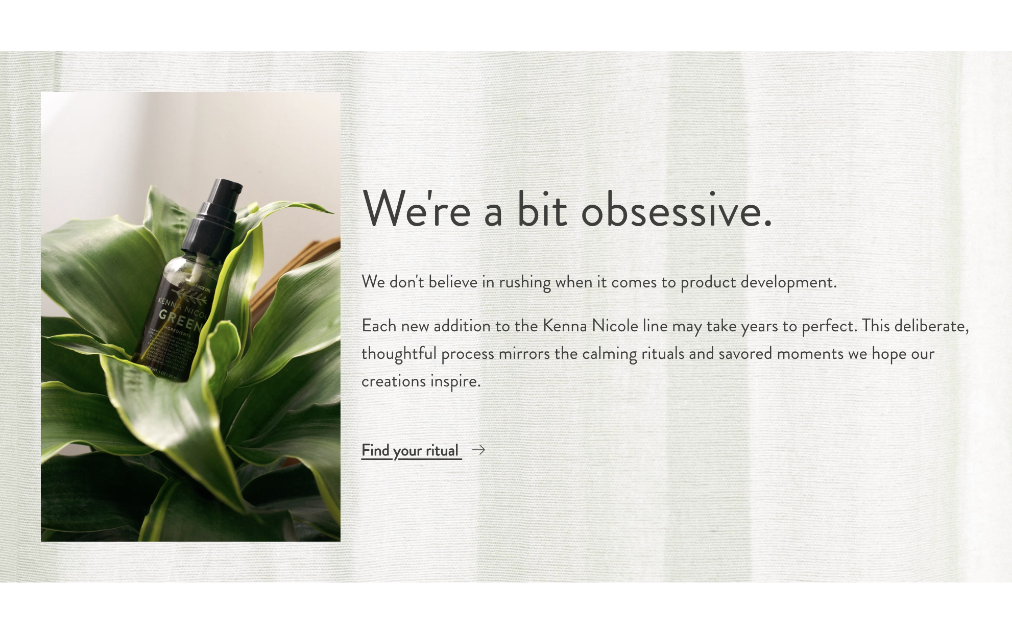 A screenshot of the Kenna Nicole website