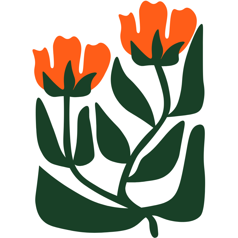 Two orange tulips with green leaves and stems on a black background.