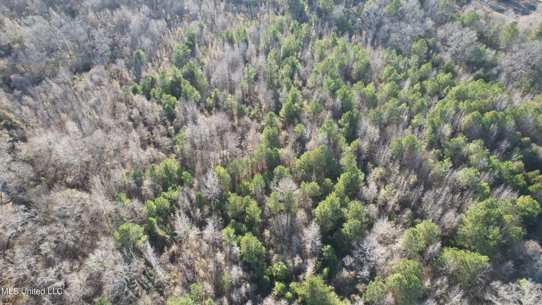 Madison County Land Tract