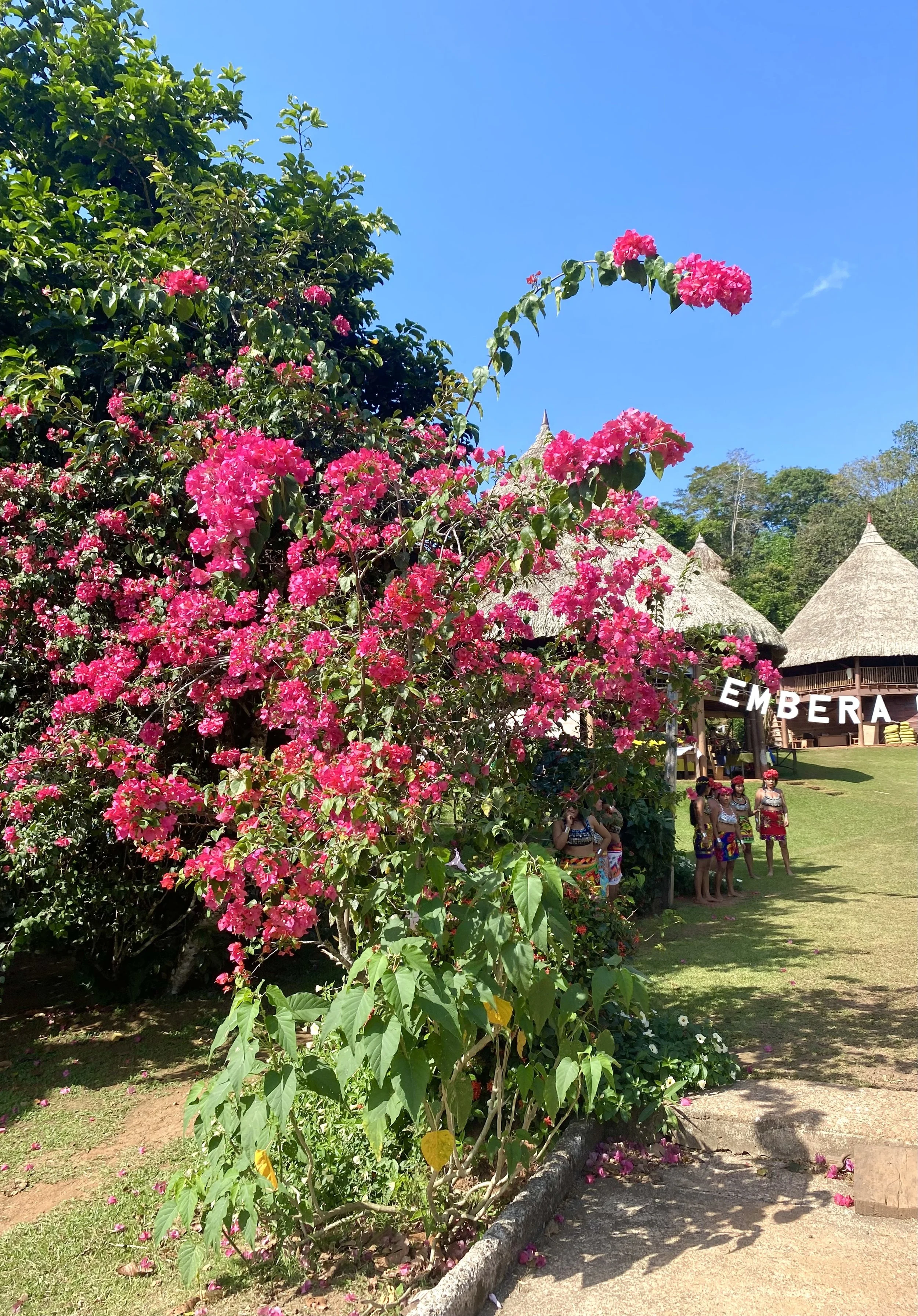 Panama Authentique communauté indigène Embera Quera