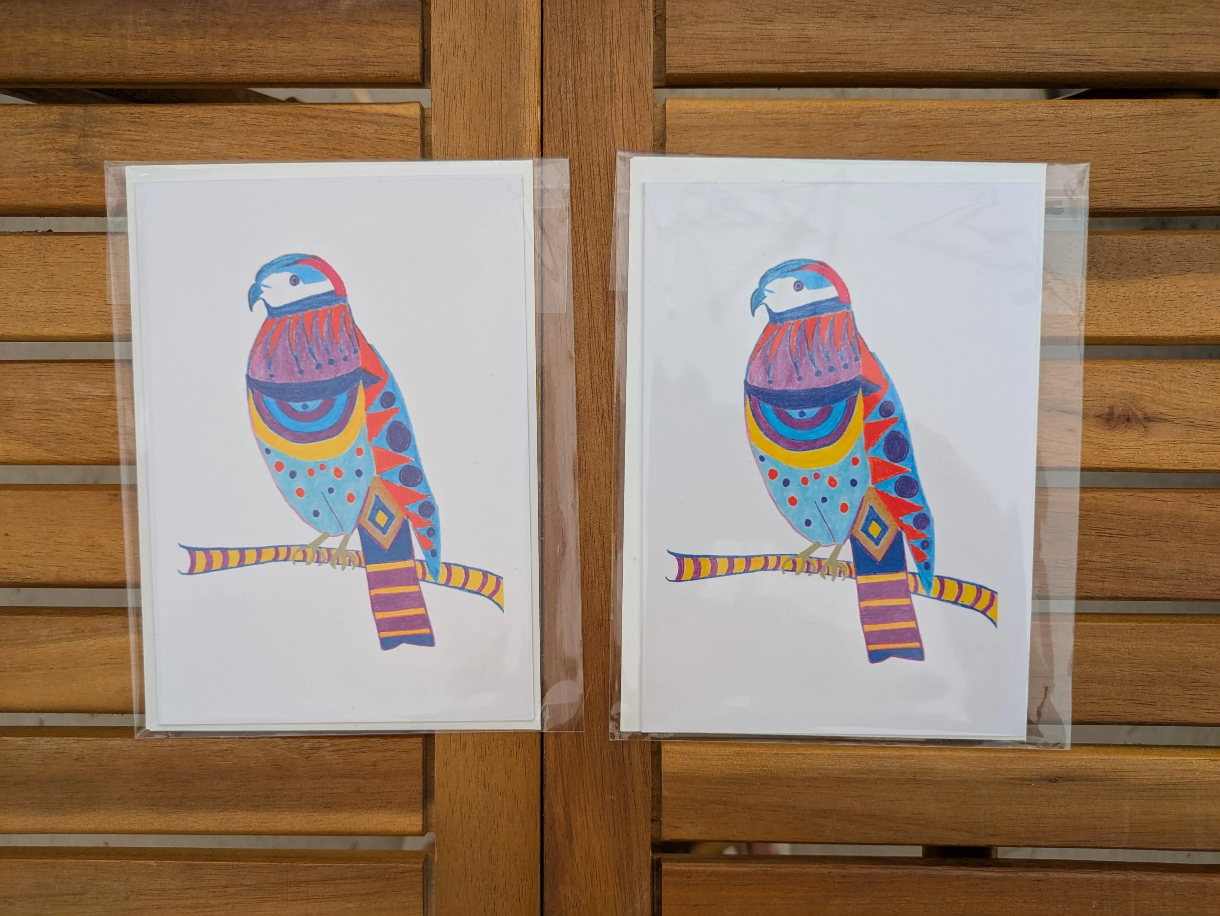 Henry_Hook Billed Kite_2_FlyFreebySophia.jpg