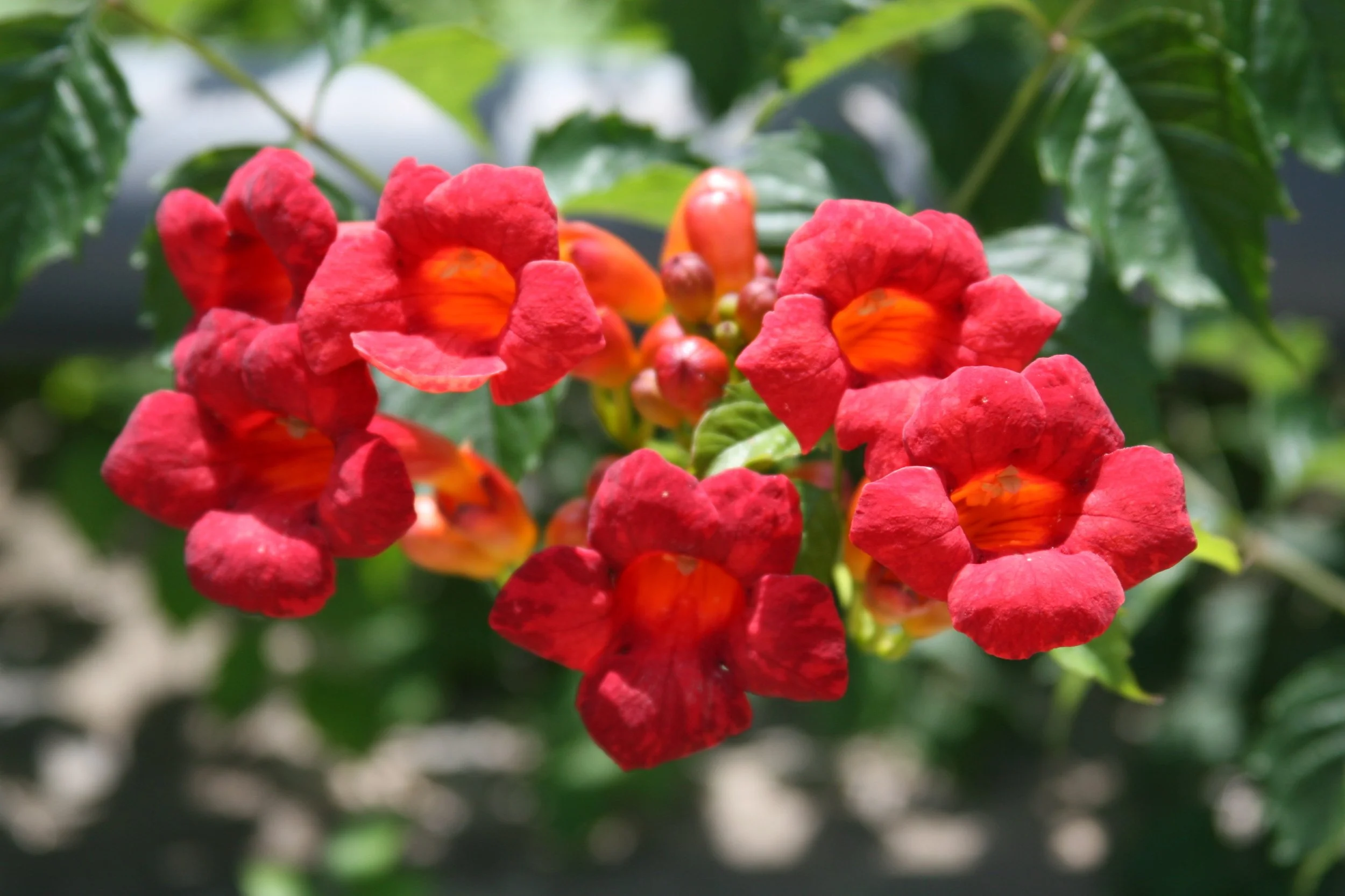 A secret that will help you shift from resisting to accepting