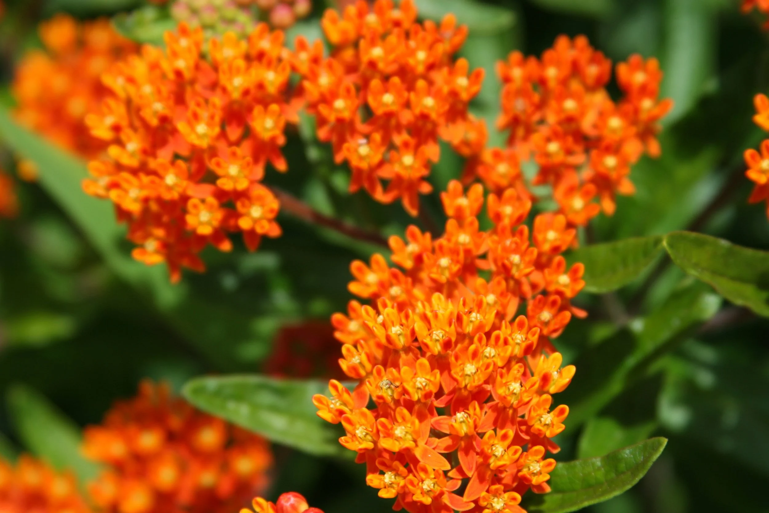 How to Keep Your Cool in the Face of Challenges