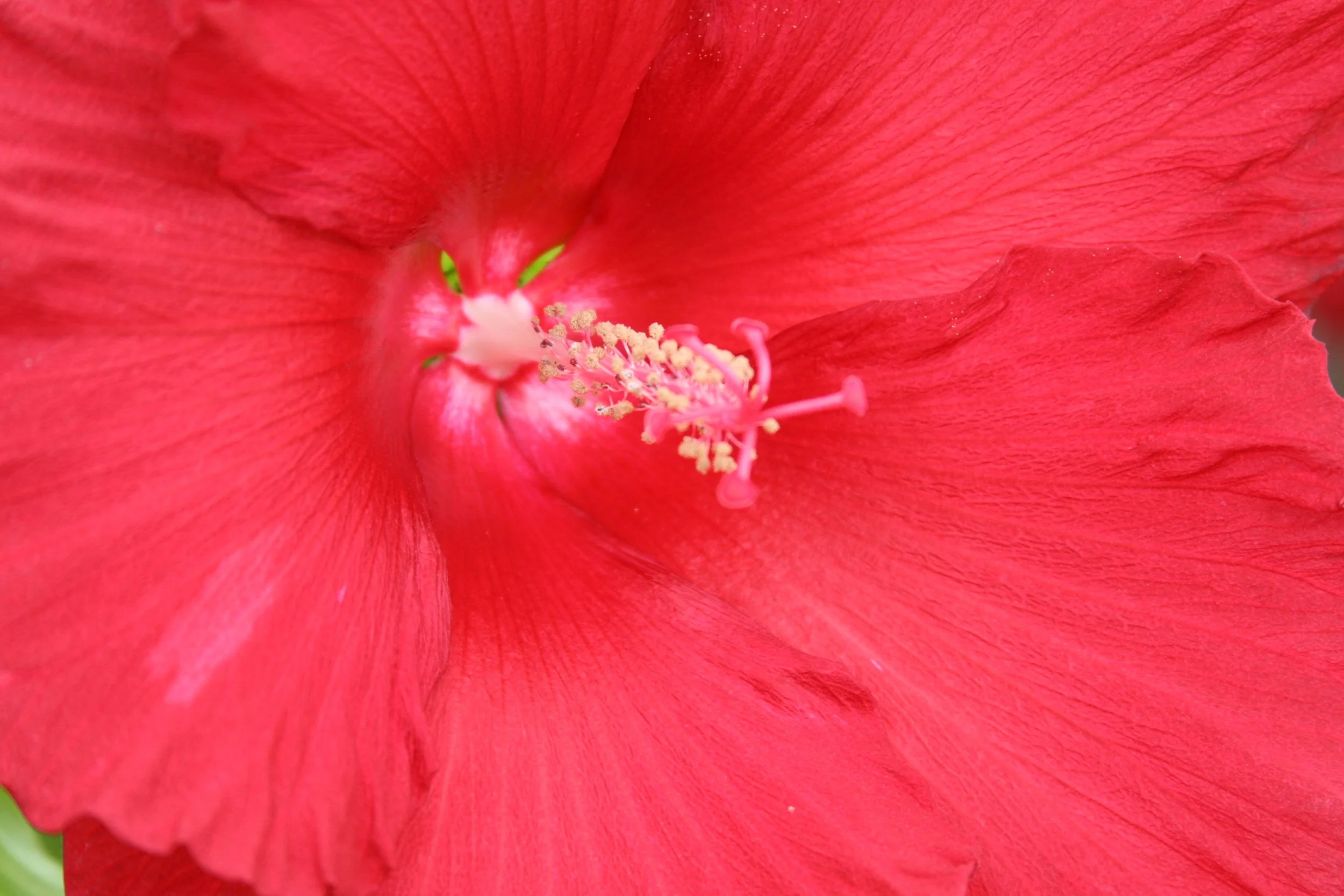 You Can Receive Direct Guidance