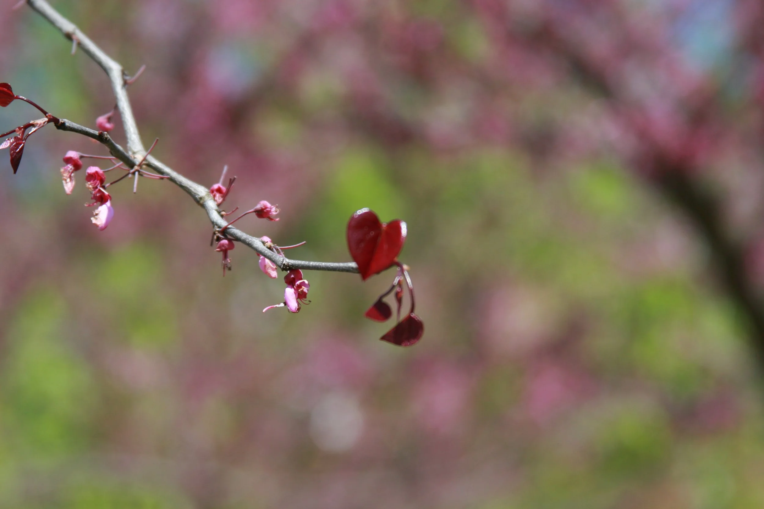 How In Losing I Found - What Truly Matters