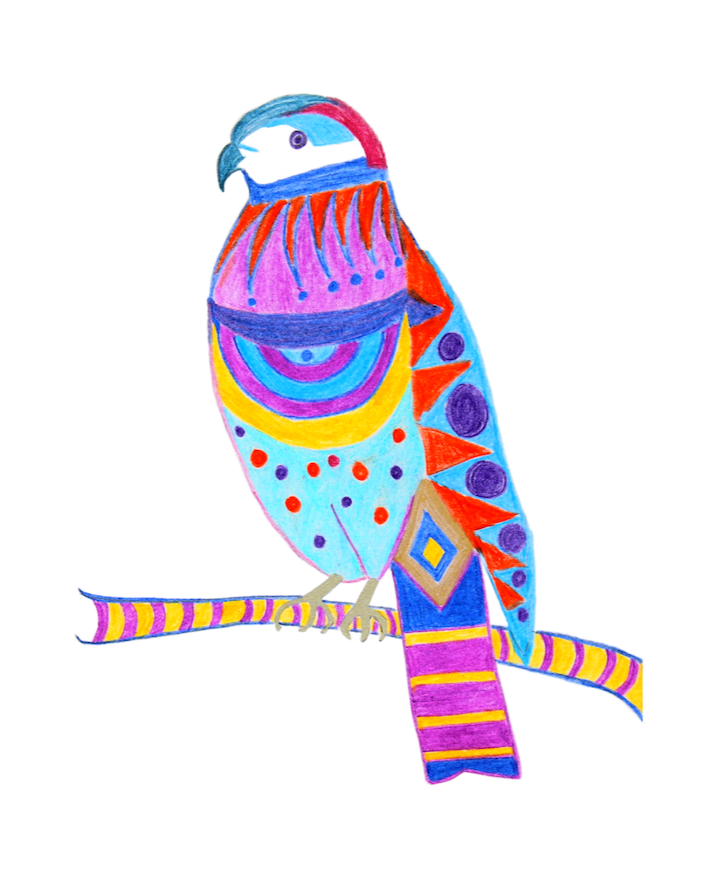 Henry, The Hooked-Bill Kite