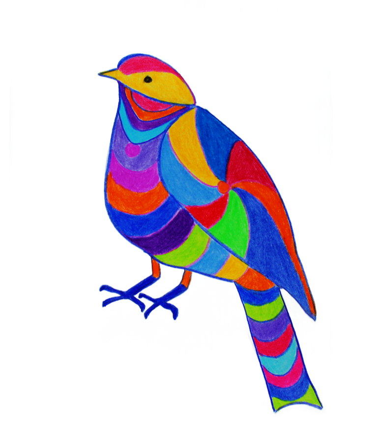 Olivia, The Olive Tree Pipit
