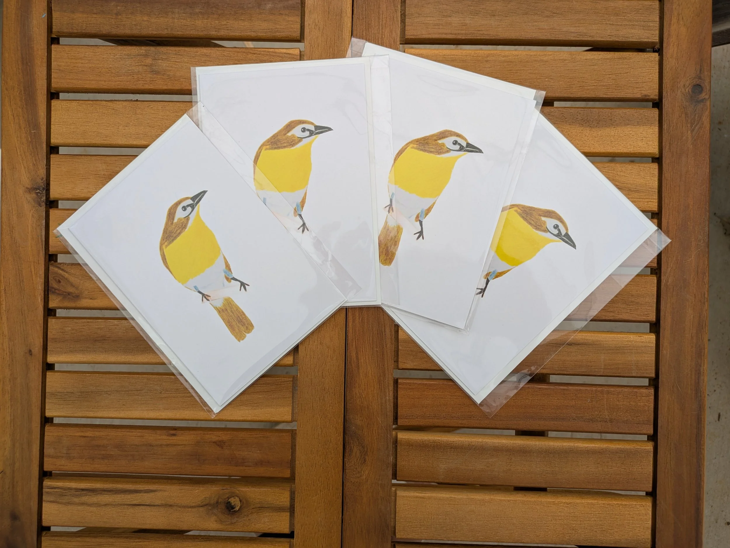 Yellow Breasted Chat_2_FlyFreebySophia.jpg