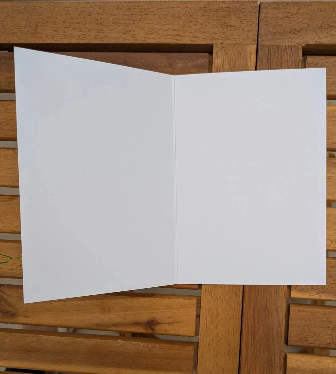 Blank+Inside+Card_FlyFreebySophia.jpg