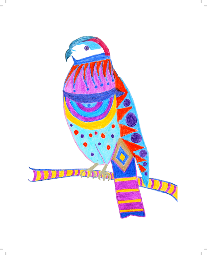 Bold Birds