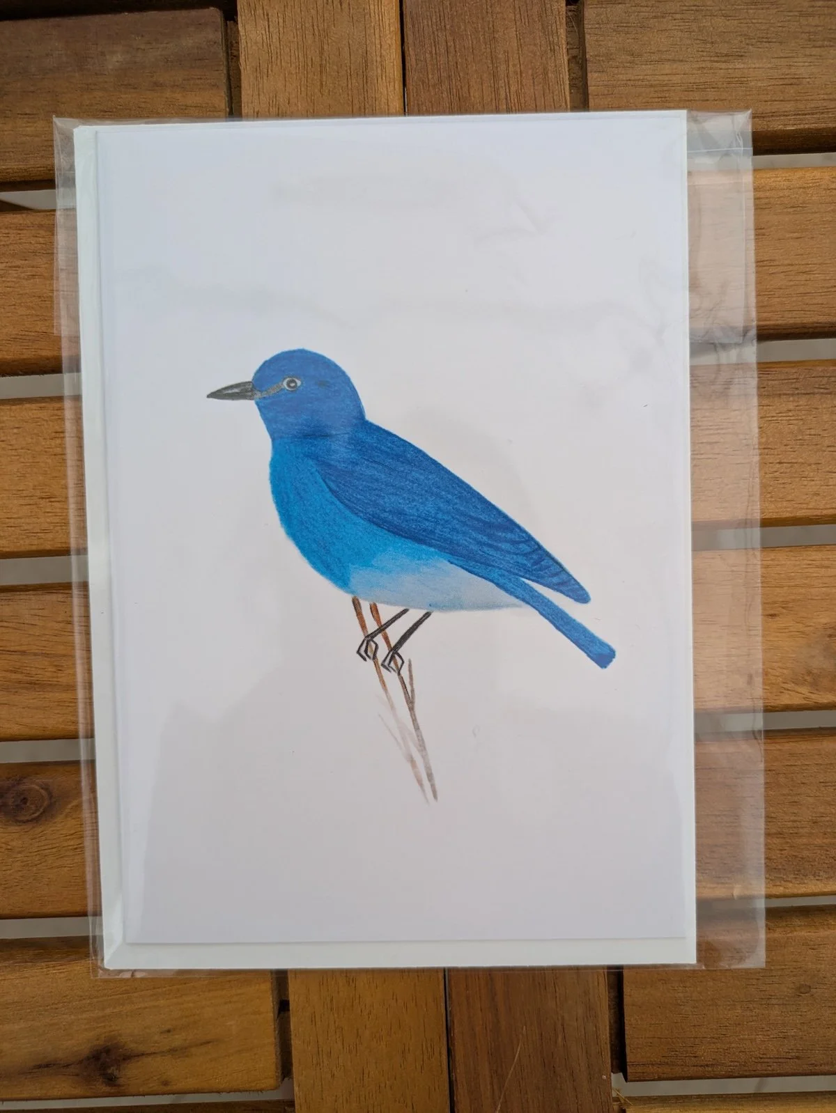 Eastern Bluebird_1_FlyFreebySophia.jpg