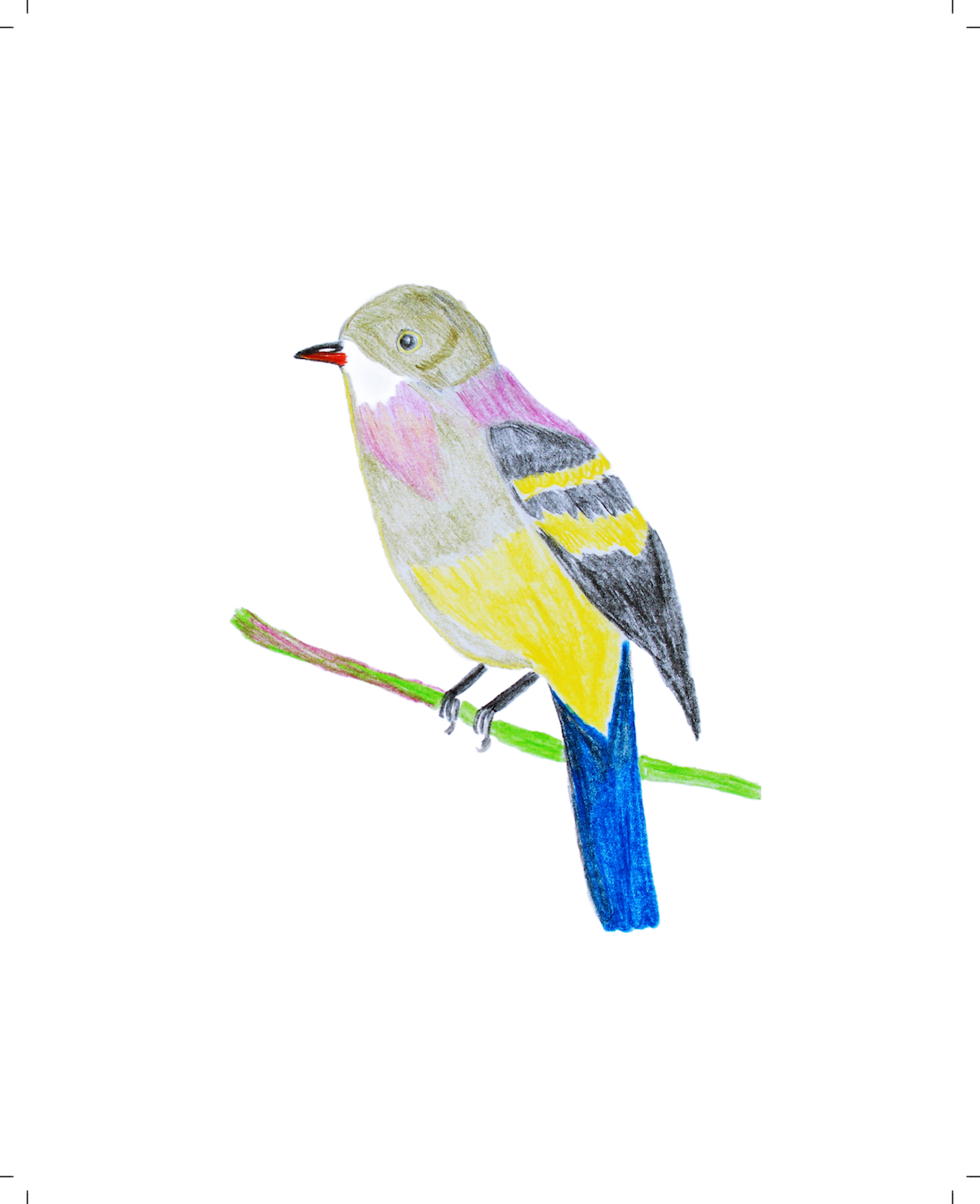 Imagined Bird 1: Yellow bird with blue tail