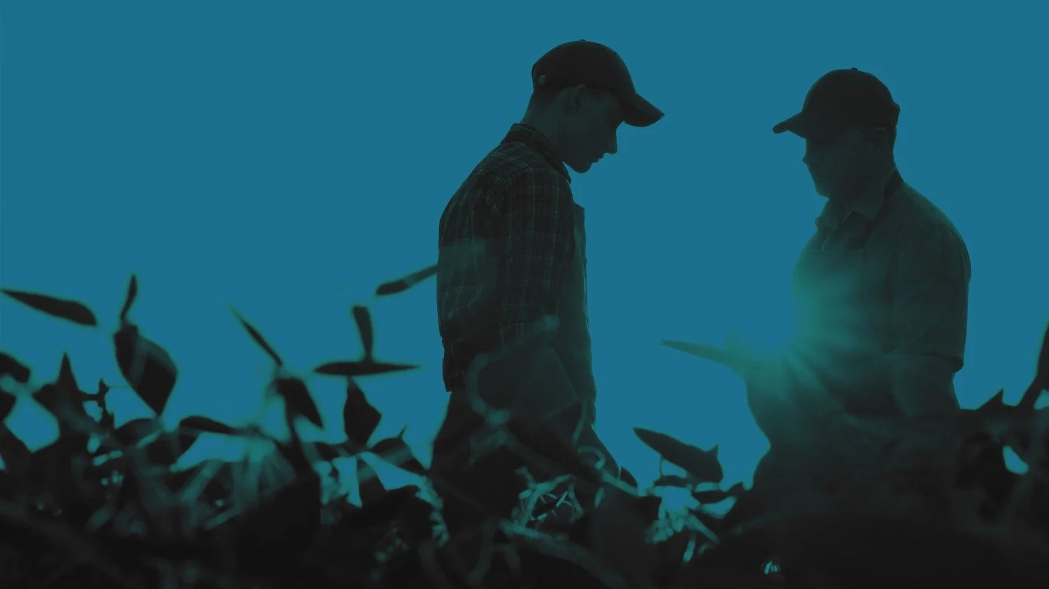 NAEDA A Specialty Equipment Insurance Services Program