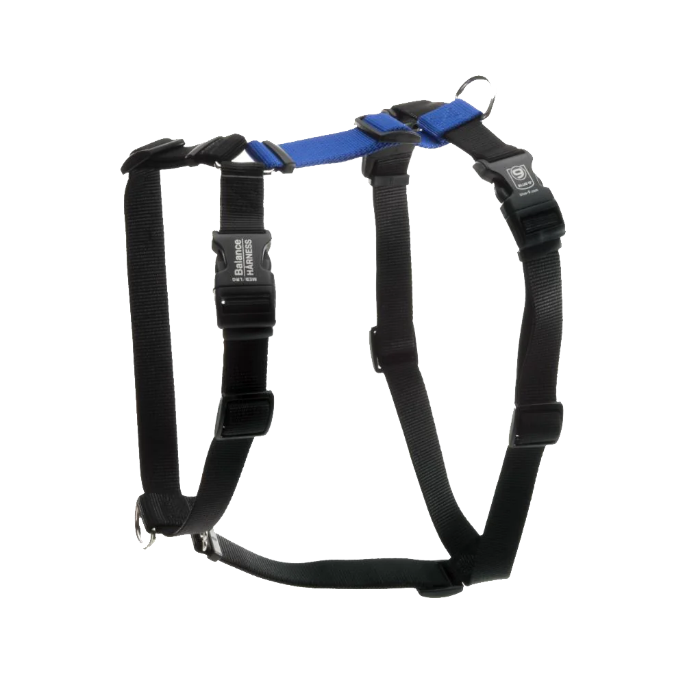 Blue 9 Balance Harness