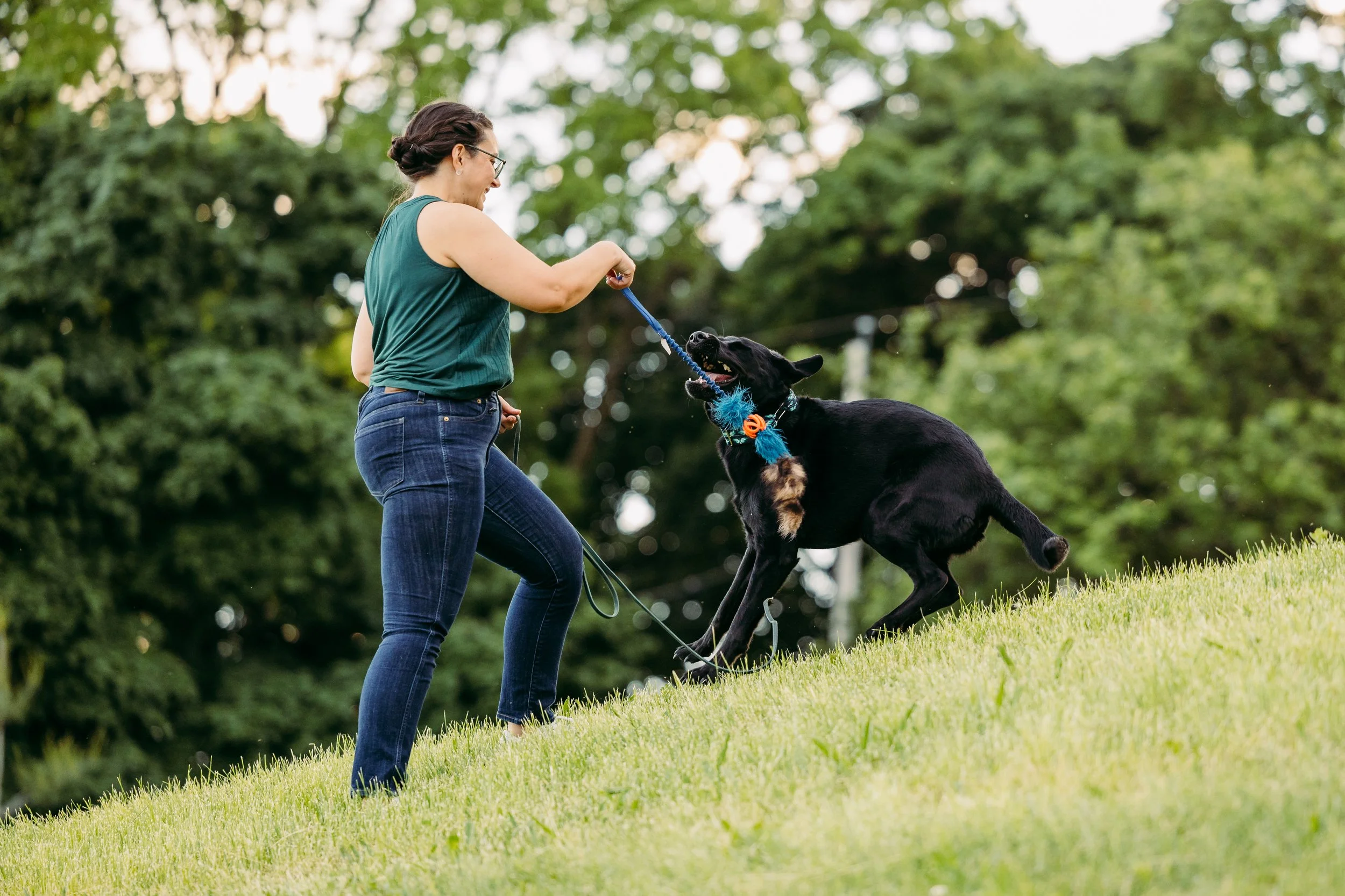 Paws-down Best! A Visitor’s Guide To Bruce Pit Dog Park Ottawa