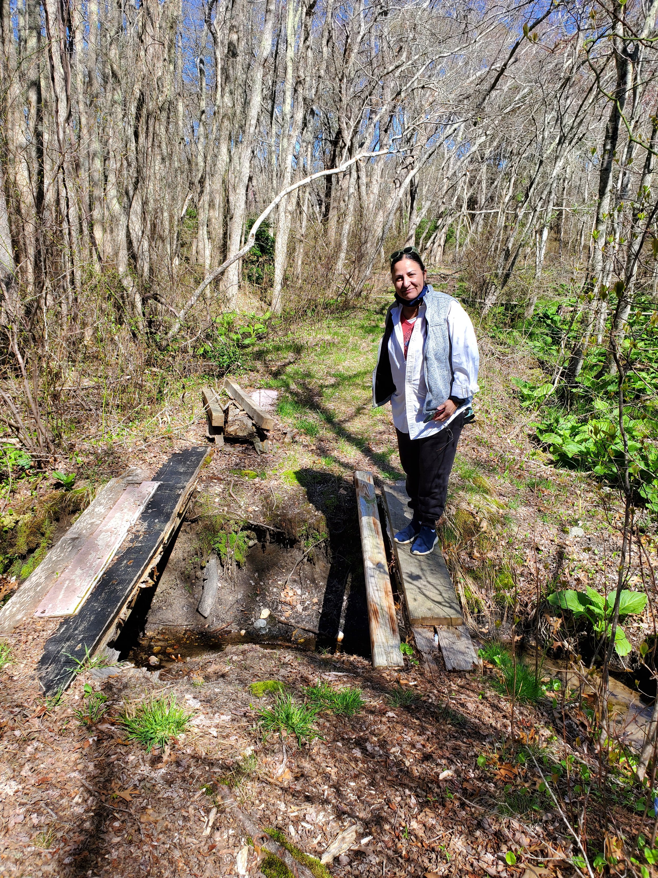 Land Care Simpkins Bog