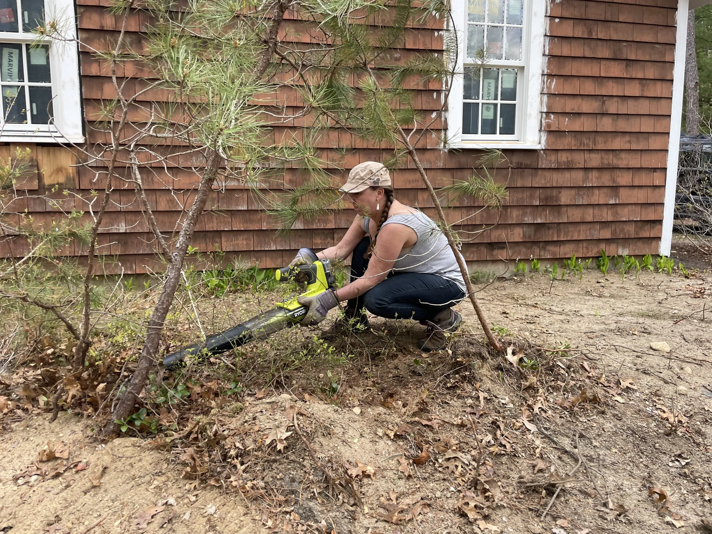 Land Care Cotuit Cottage