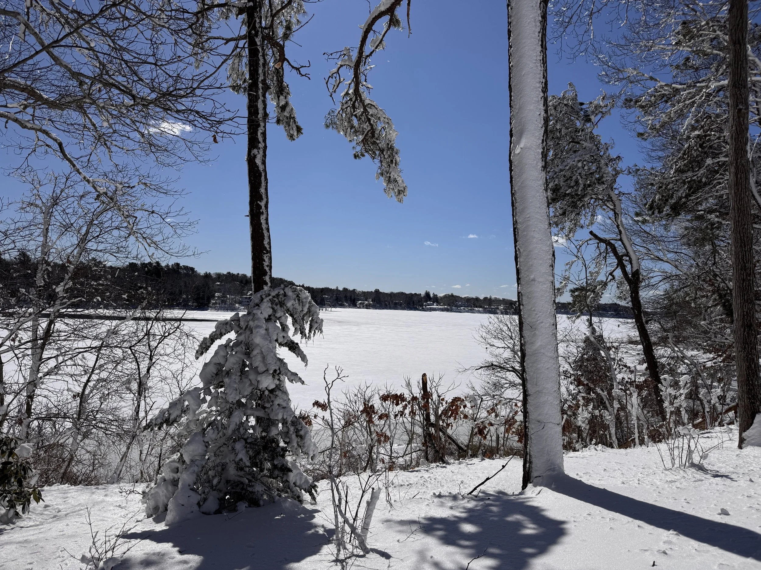 blessings of a blizzard: hernandos gifts