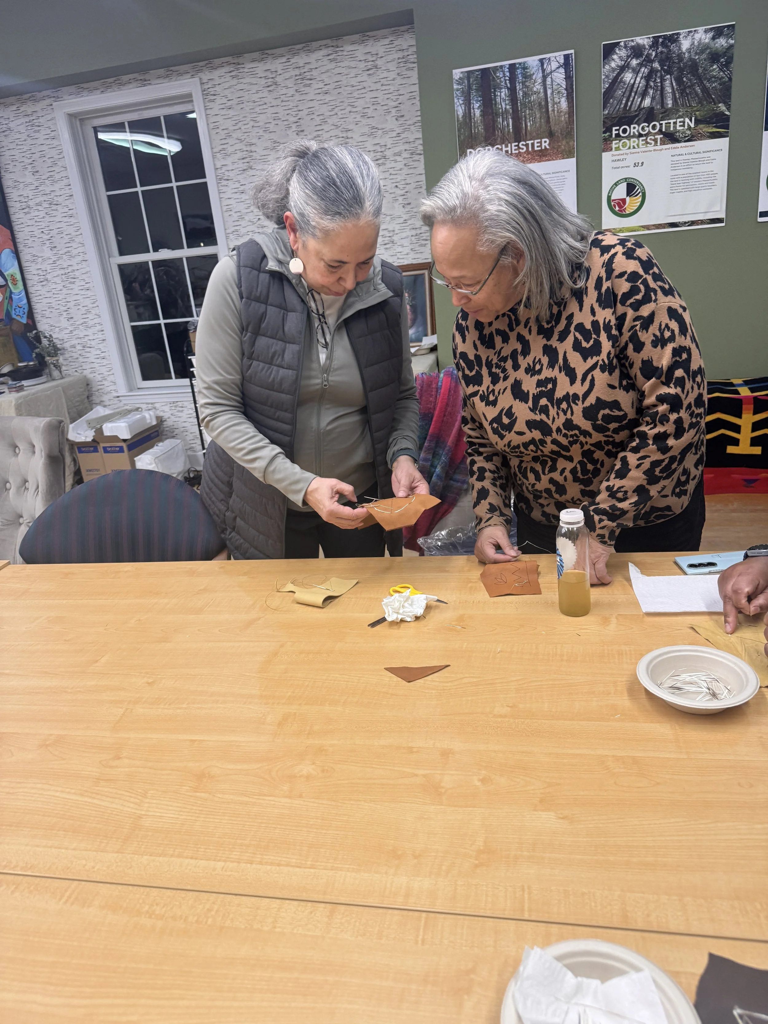 Pat the Porcupine: The final chapter