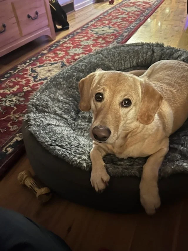 Tuning Out the Noise