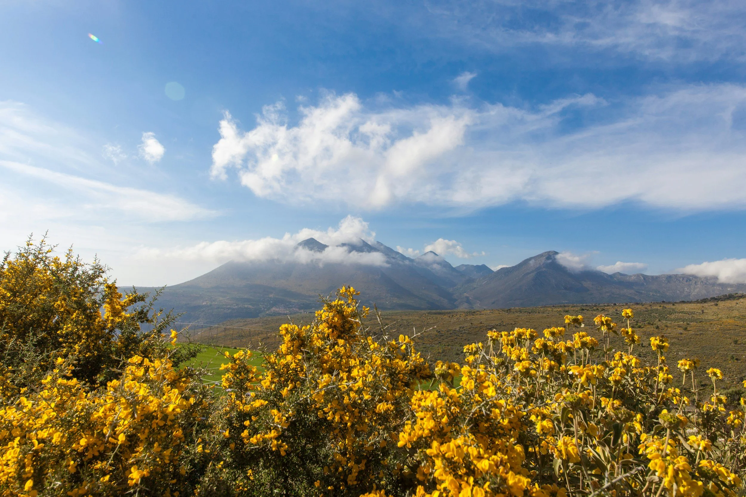 How to Use the Names of Allah in Your Personal Duas