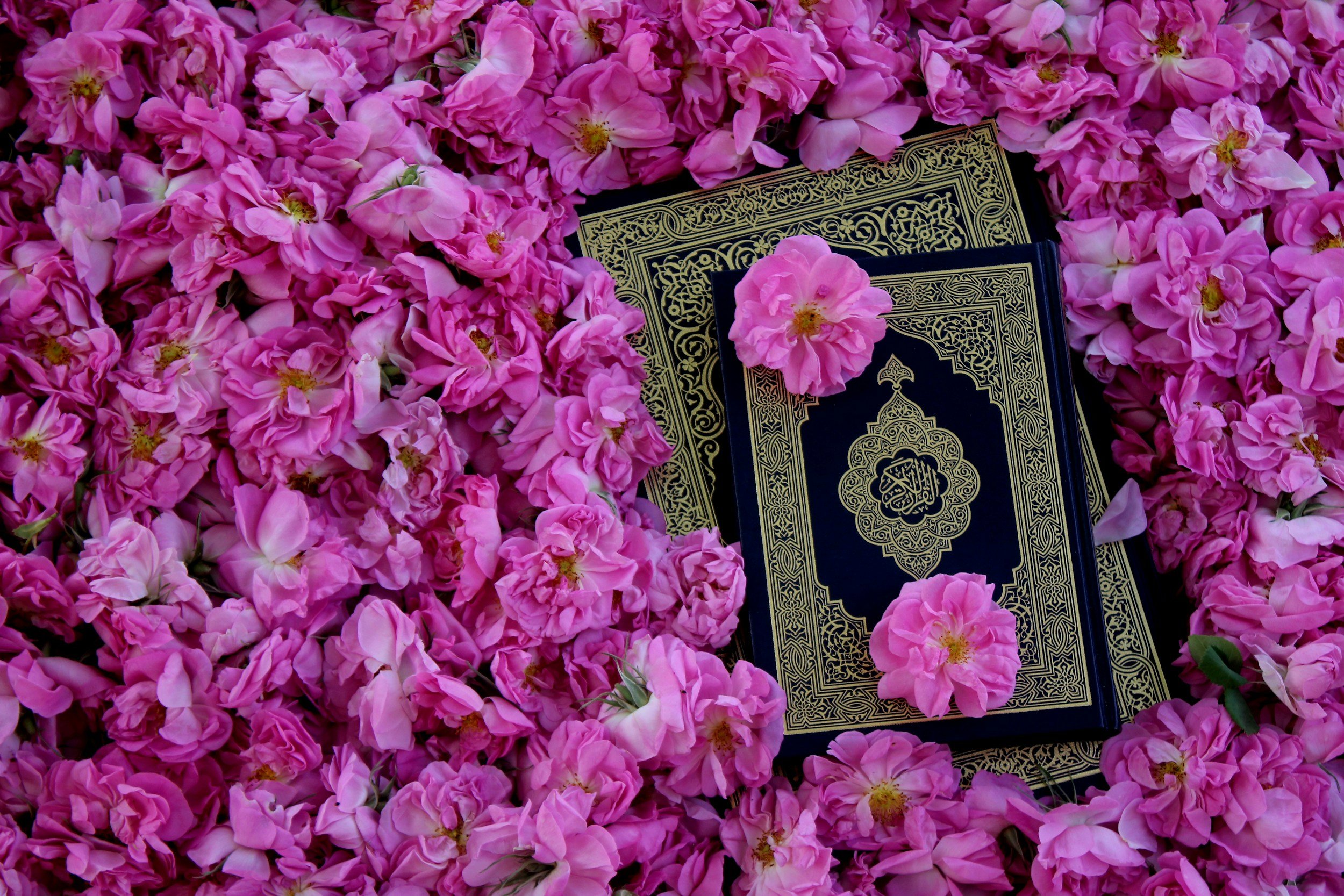 Memorizing the Quran: My Hifdh Journey as a Muslim Woman