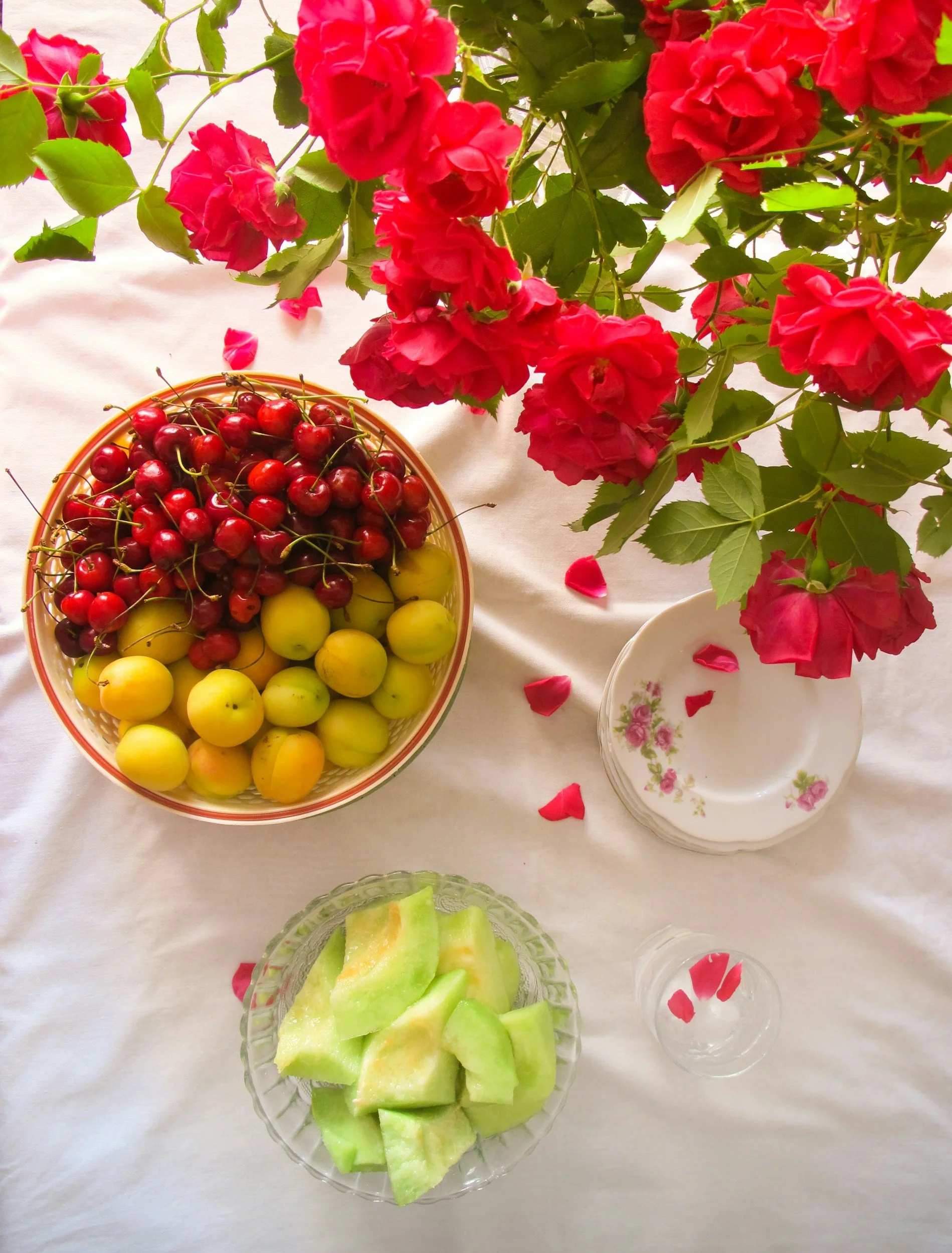 WELLNESS