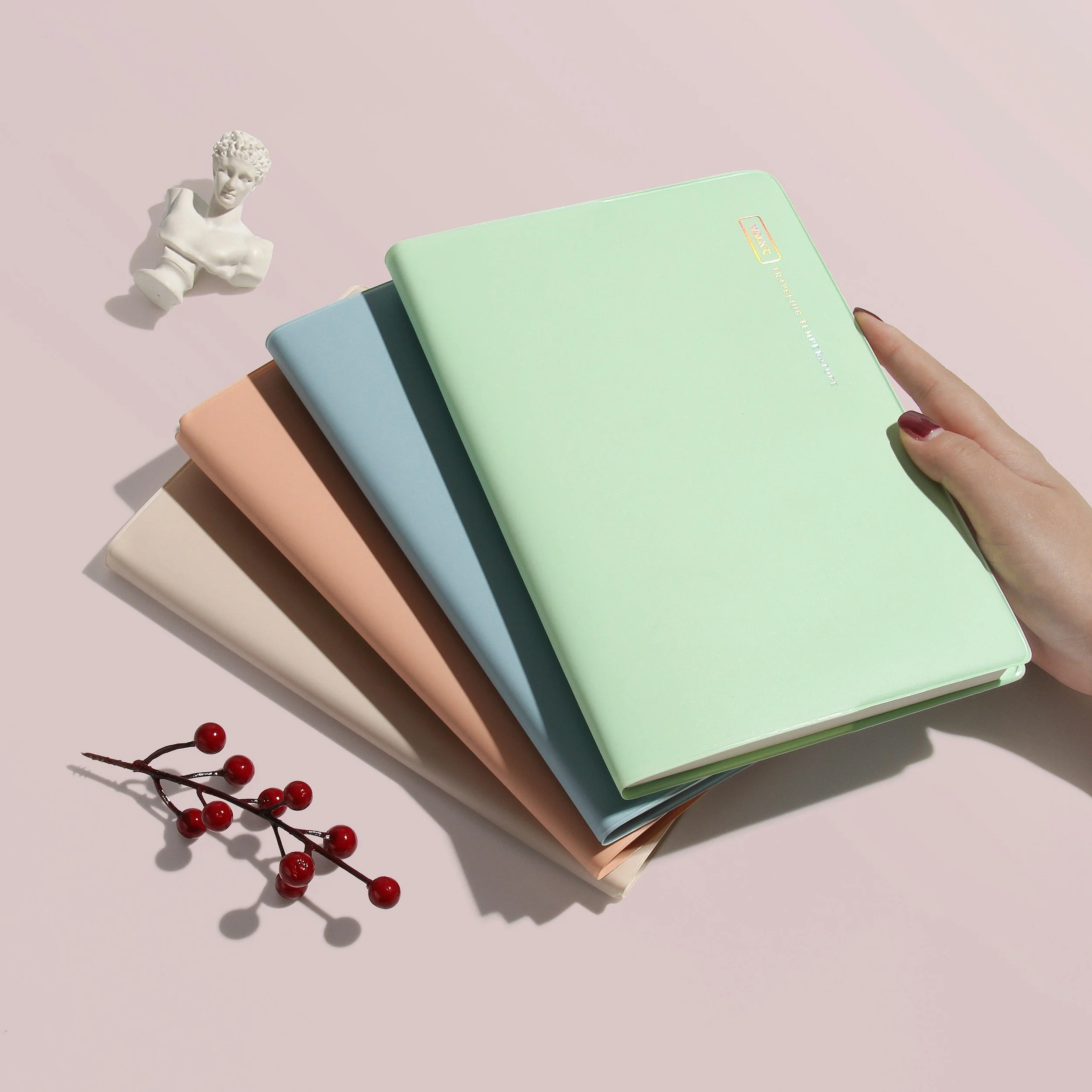 PAPER NOTEBOOKS