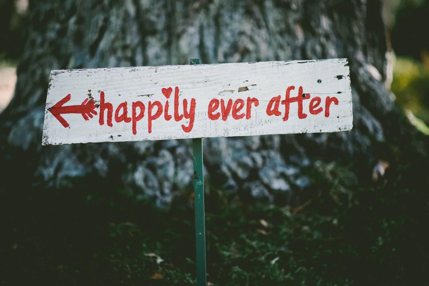 Our Expectations of Marriage and Men vs. the Reality