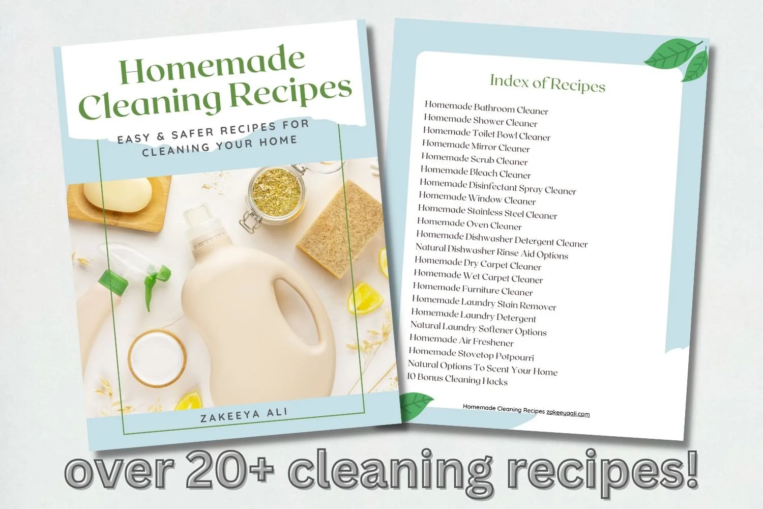 Cleaning Ebook 1.jpeg