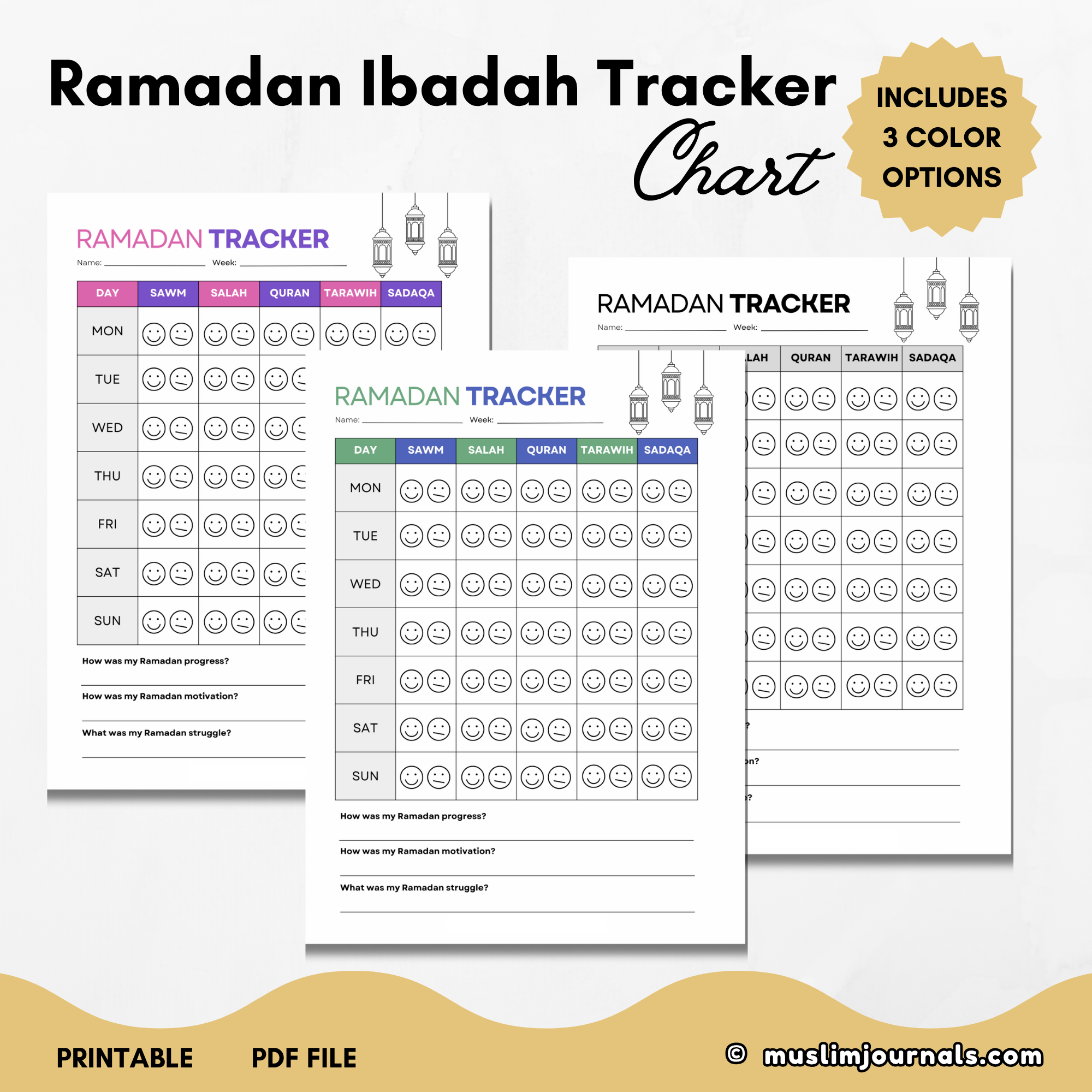 Ramadan Ibadah Tracker Charts.png