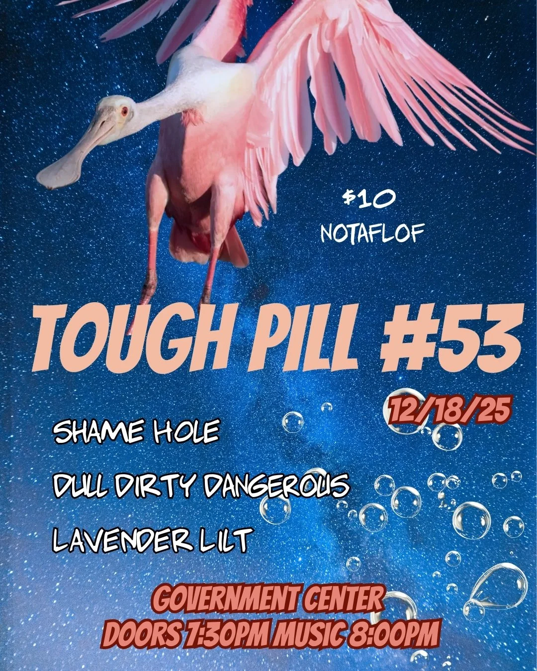 Tough Pill # 53 - Shame Hole/ Dull Dirty Dangerous / Lavender Lilt