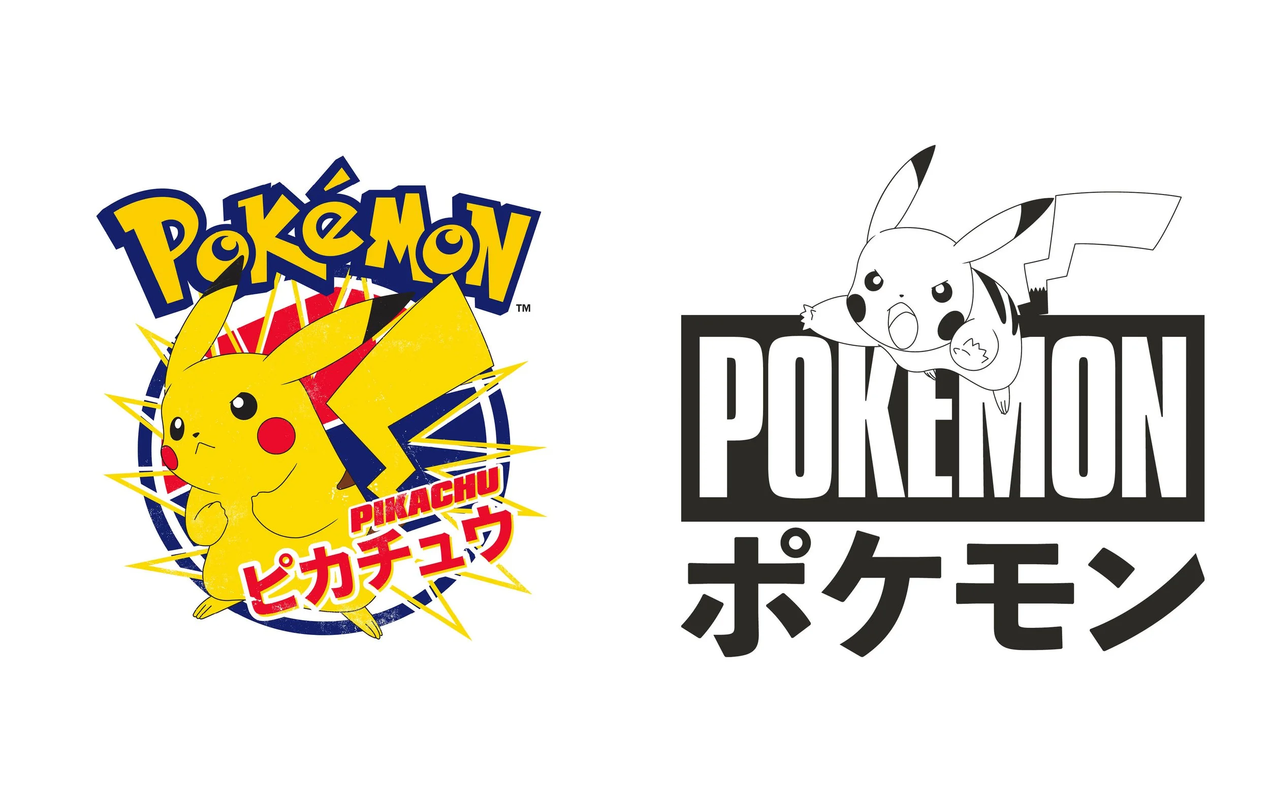 CT_Web_Portfolio_Pokemon5.jpg