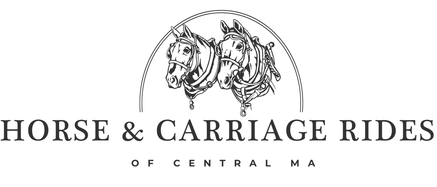 Horse and Carriage Rides of Central Massachusetts