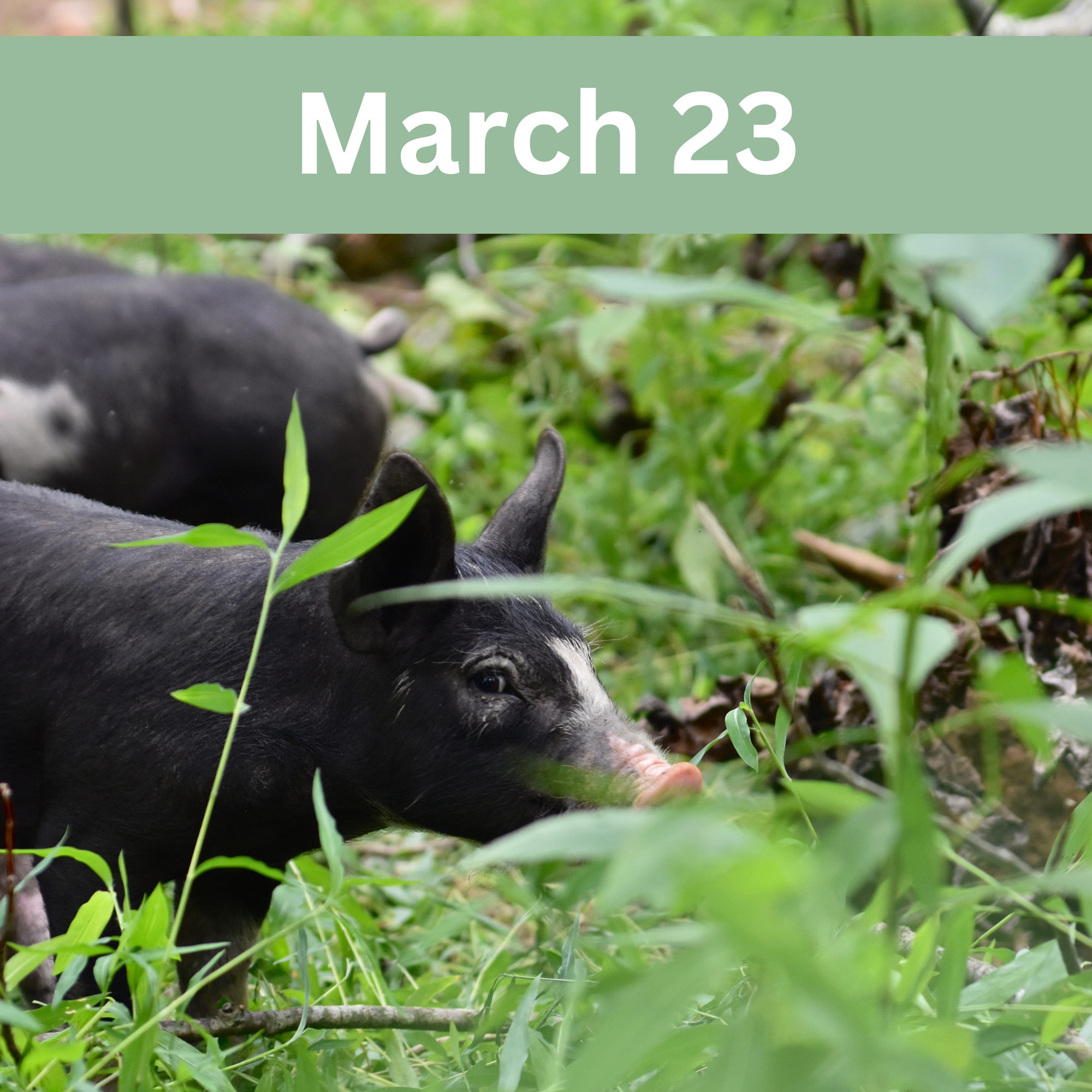NRCS Practices Field Day