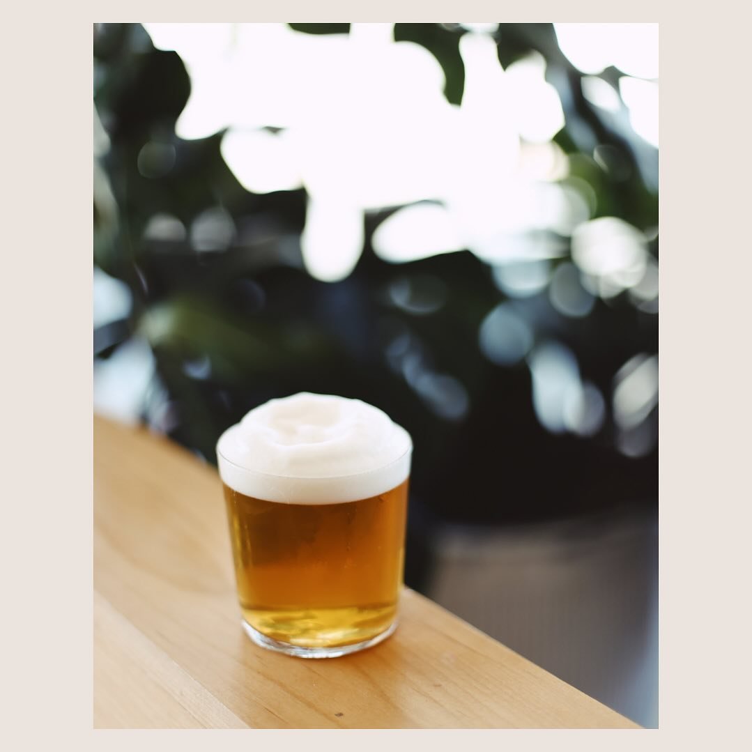 Excited to have @bevibene_brewing on guest tap! They are making some beautifully drinkable lagers down in Charleston and we are here for it 🍻 

We&rsquo;ve been pouring their single hopped lager, Lazy Days all week and will be featuring their rice l