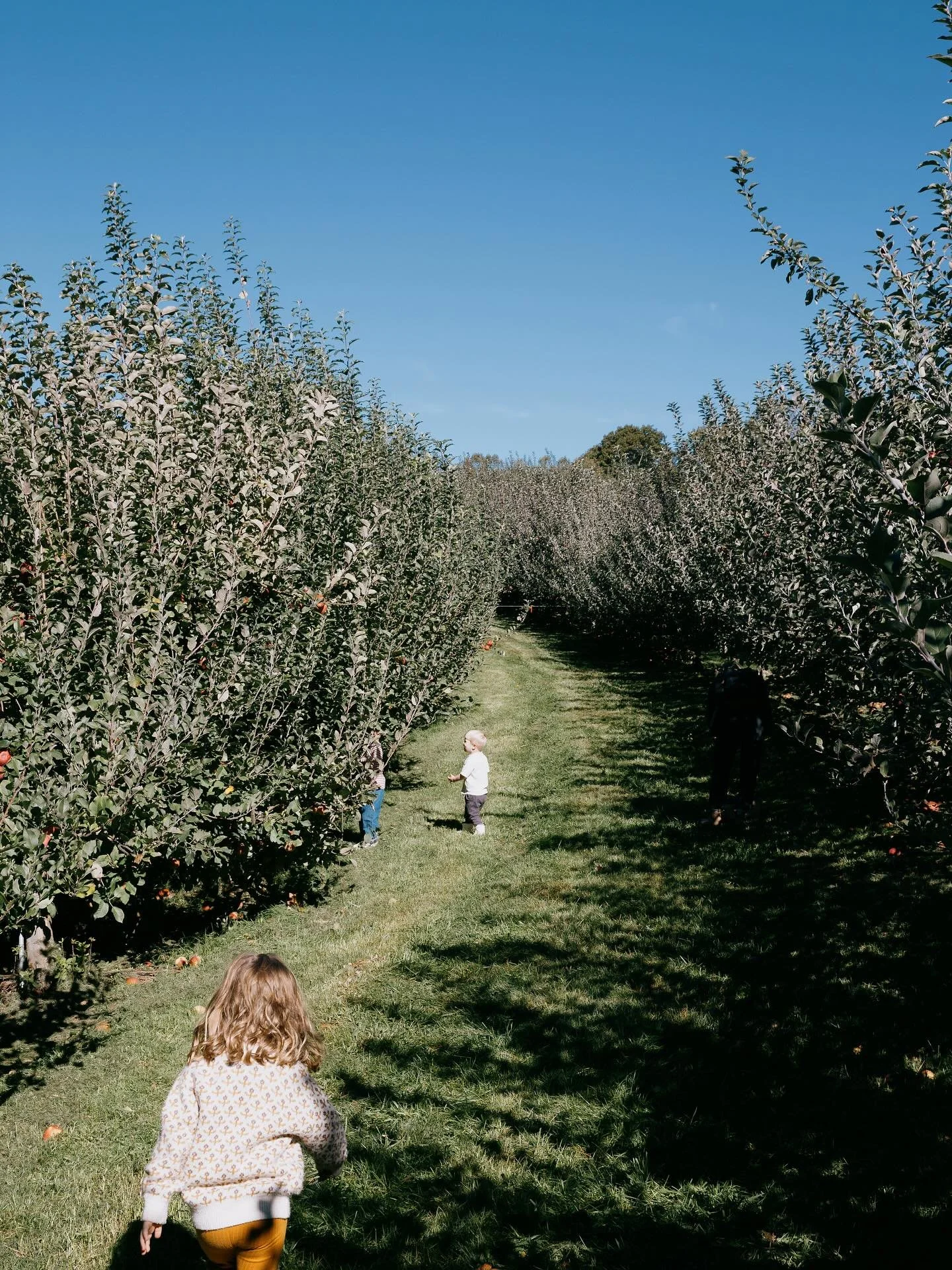 Little Lands is back this Saturday, 9/6 πΏ
School has started for the kiddos and it feels like the perfect time to pause before we all get swept up in the currents of the school year.
We’ve got some special guests joining us for a morning of
