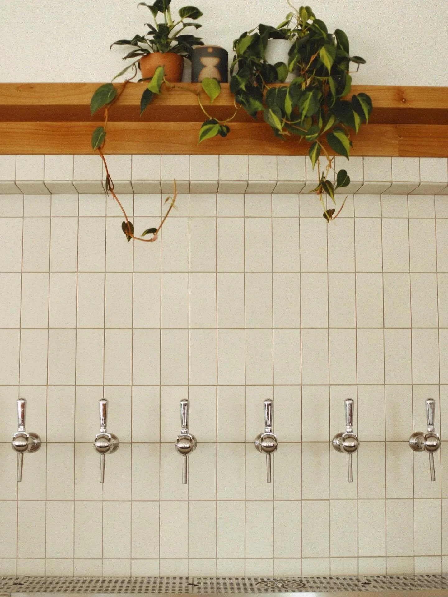 Hours Saturday (1/23)
8am - 2pm 
or until the weather gets bad and our people need to go home! 
Hope yall stay safe and keep your loved ones cozy close for warmth &hearts;️ ❄️ 🫂