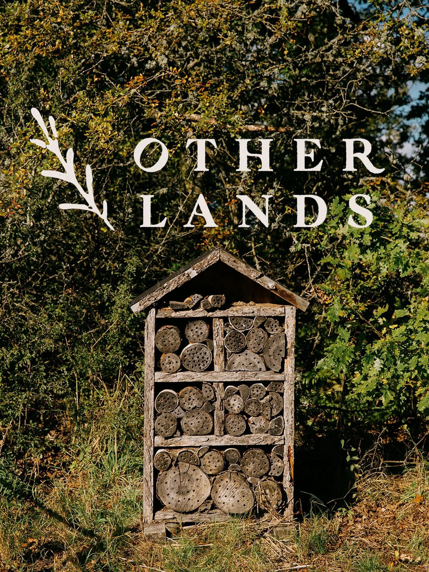 Happy president&rsquo;s day! Open all day today with happy hour running tonight 5-7pm 🌞 💕