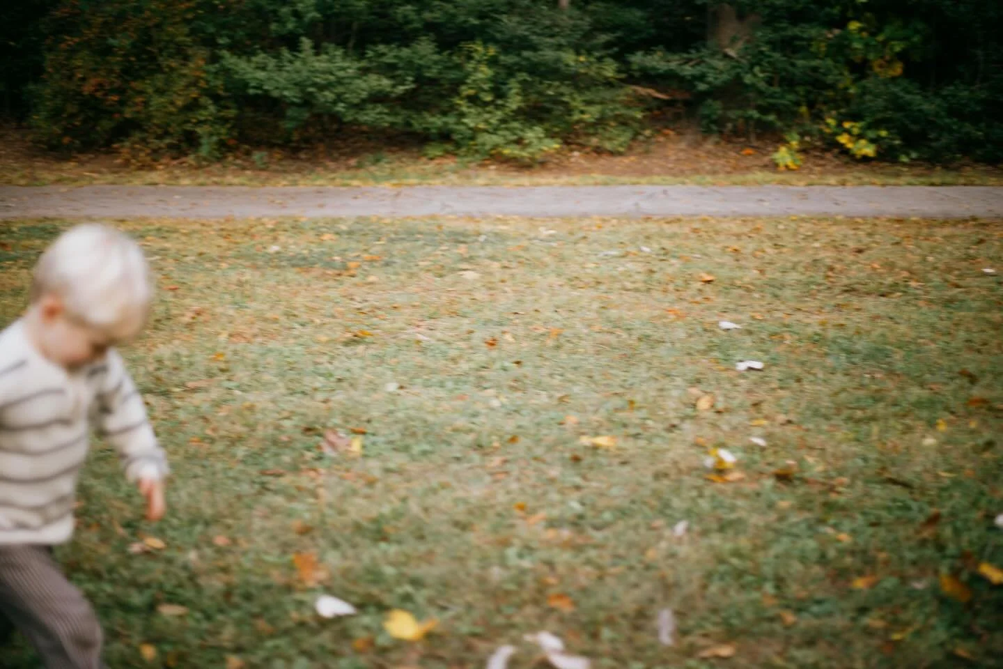 Little Lands is back this Saturday 10a-2p! The weather looks sunny + warm and we can&rsquo;t wait to get our neighborhood families together again. It&rsquo;s March and we&rsquo;re leaning fully into the St Patty&rsquo;s Day feels. We&rsquo;ll have:
☘