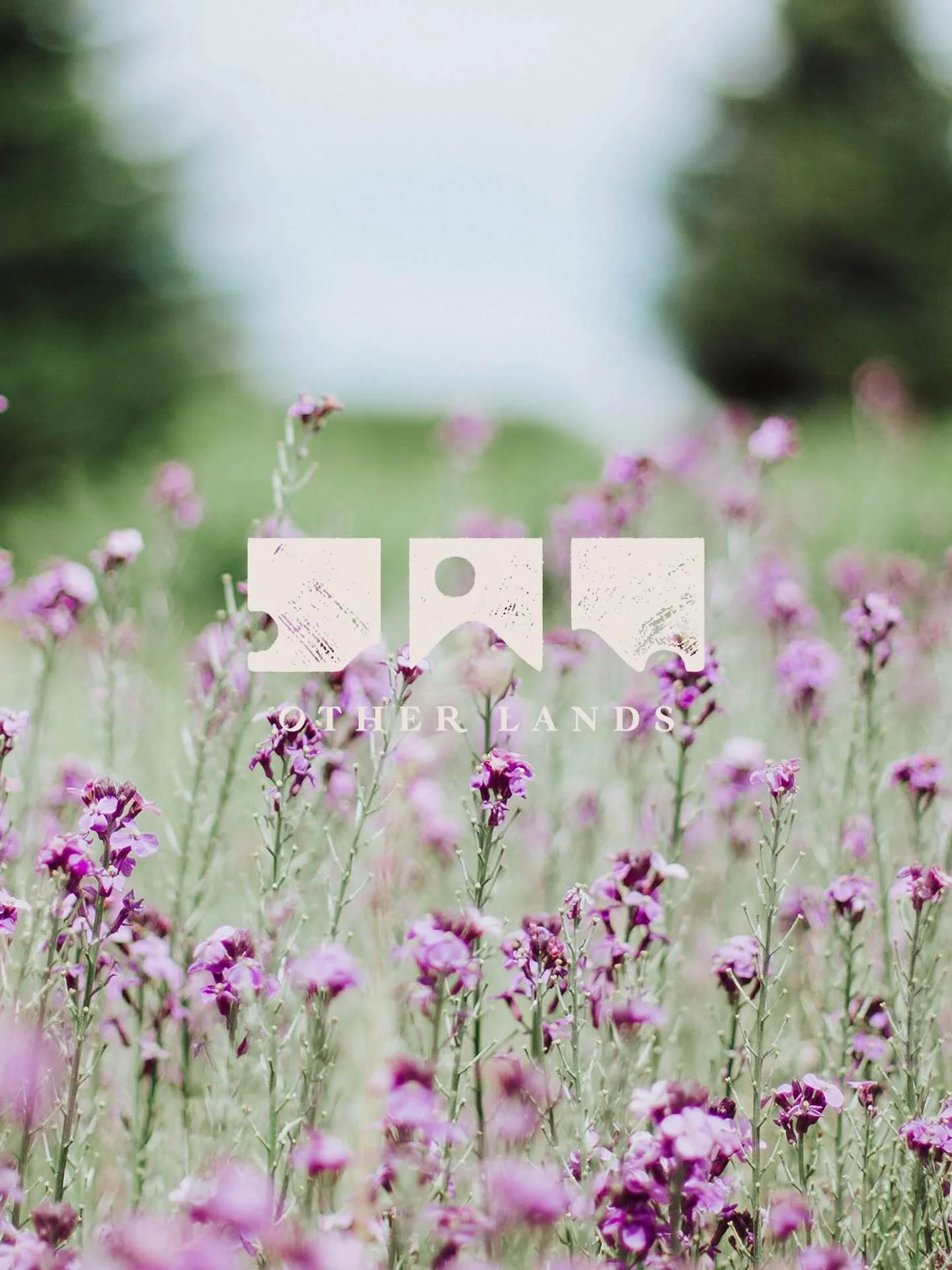 💜💜💜💜💜💜💜💜💜💜💜

Spring has sprung! We&rsquo;ve got some lovely new additions to the menu that our team is proud to share! New cocktails, sandwiches, lattes, matcha, Iced coffees, beers, ++++

Come say hey! 😚