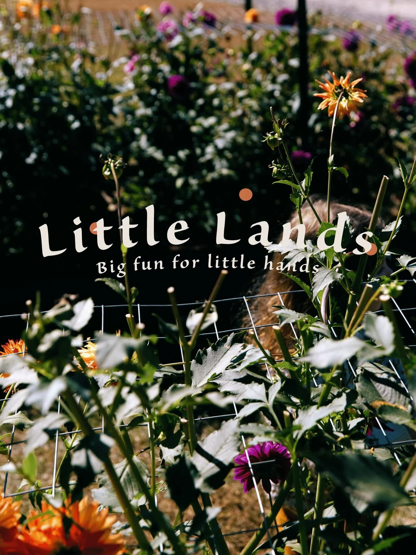 Little Lands is back this Saturday, 10a-2p!

We&rsquo;re celebrating this beautiful spring we&rsquo;re having with a make &amp; decorate mini flower pot craft and an Easter egg scavenger hunt. @asthepageturnsbooks and @babybee_gvl will be joining us 
