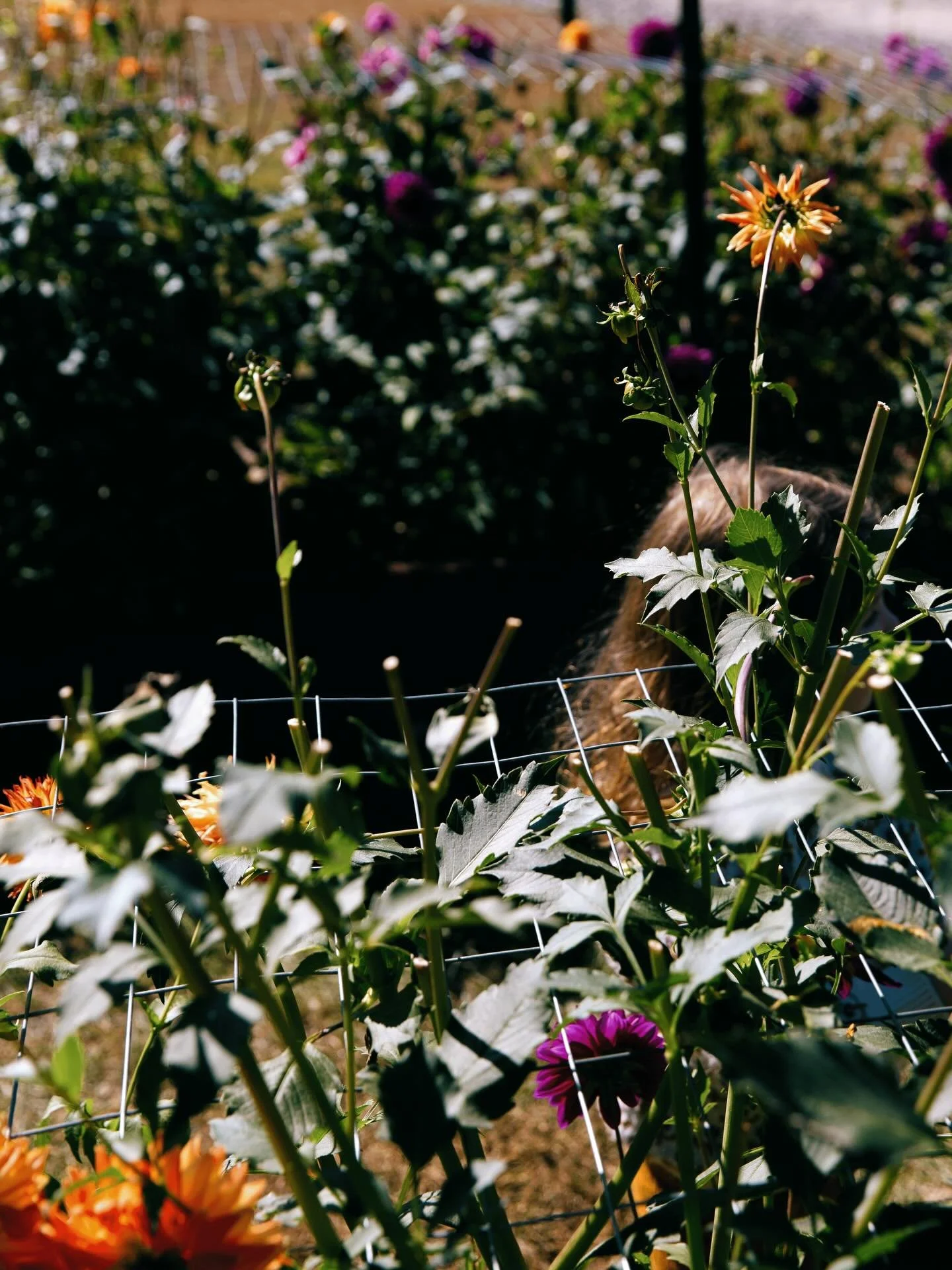 Little Lands is back this Saturday, 10a-2p!

We&rsquo;re celebrating this beautiful spring we&rsquo;re having with a make &amp; decorate mini flower pot craft and an Easter egg scavenger hunt. @asthepageturnsbooks and @babybee_gvl will be joining us 