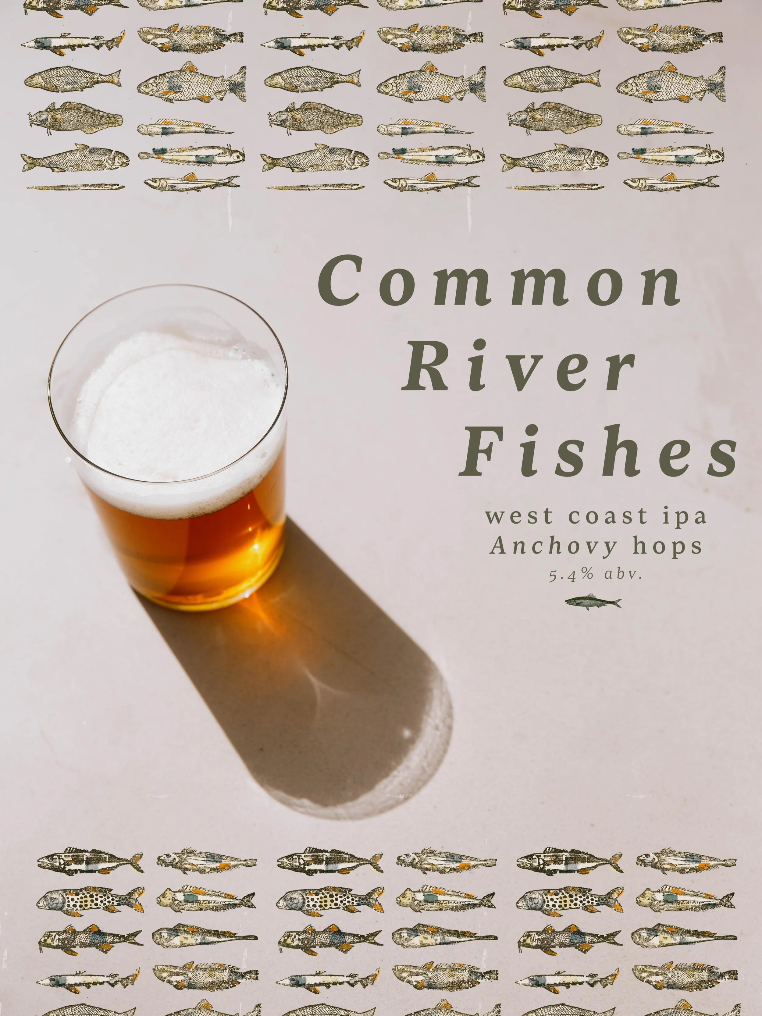 Common River Fishes 🐟 

Brand new west coast ipa featuring ANCHOVY hops from Segal Ranch. No there are no fish in this beer! Anchovy is a rare and experimental hop out of Yakima, Washington known for its unique and expressive watermelon candy like a
