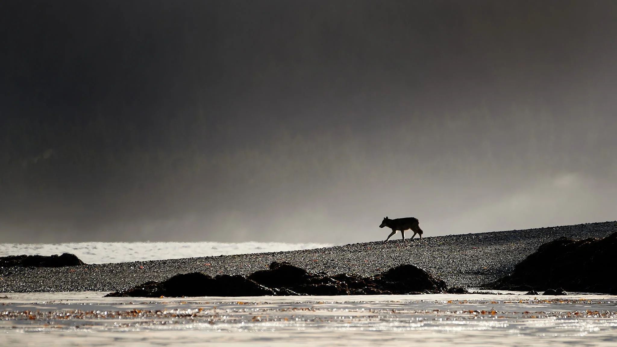 seaforth_expeditions+30.webp