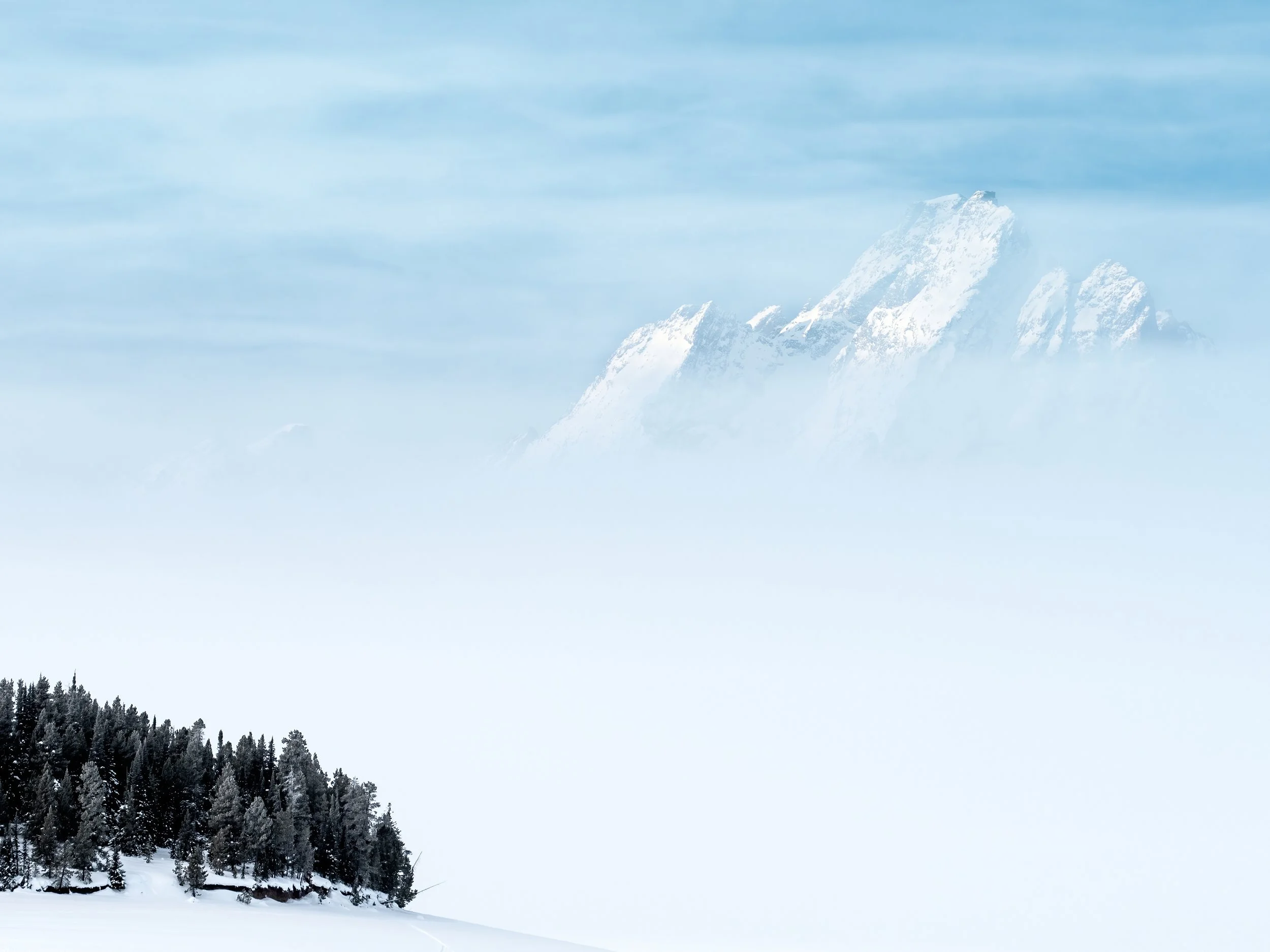 Moran Winter JPG.jpeg