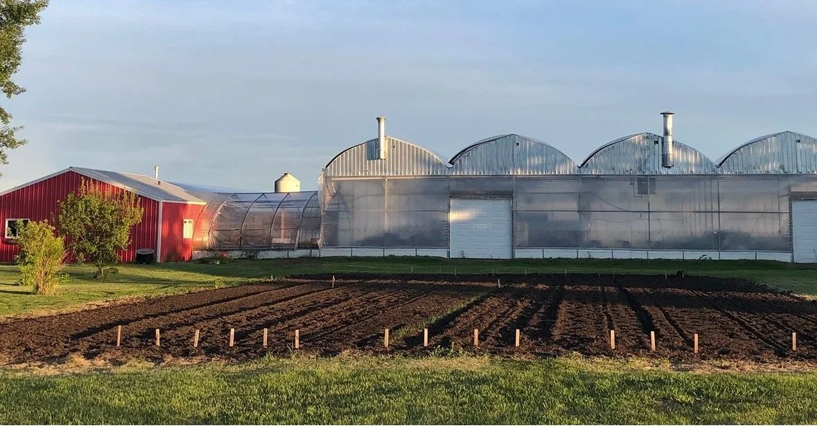 Maple Park Farms | Community Supported Agriculture Vegetable Delivery